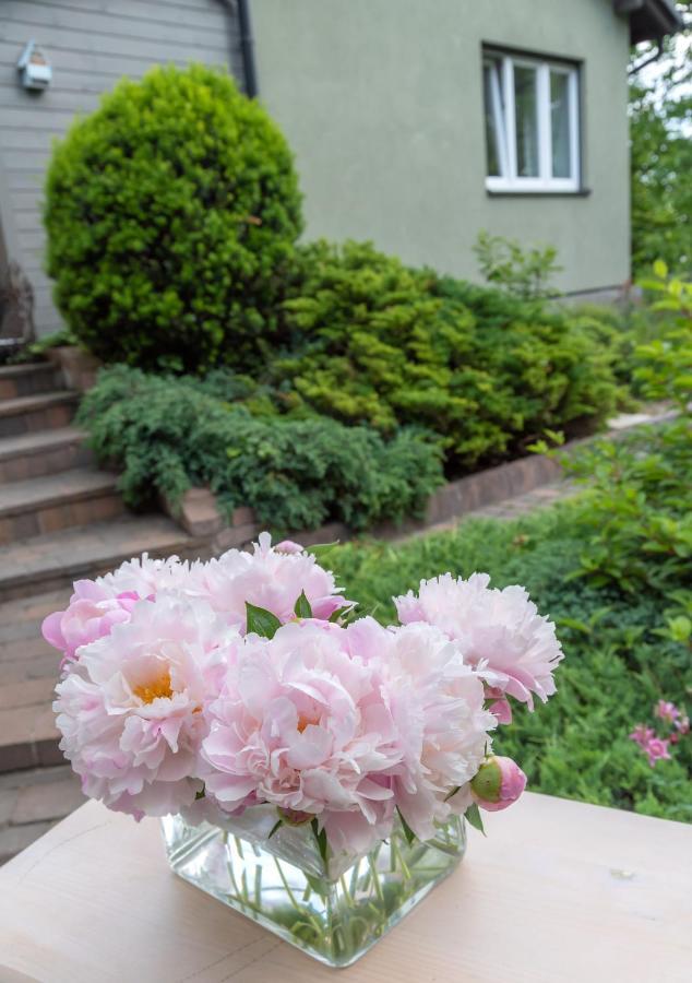 Green House - Two Bedroom Apartment บีเอสโก-เบียวา ภายนอก รูปภาพ